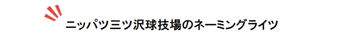 ニッパツ三ツ沢球技場のネーミングライツ