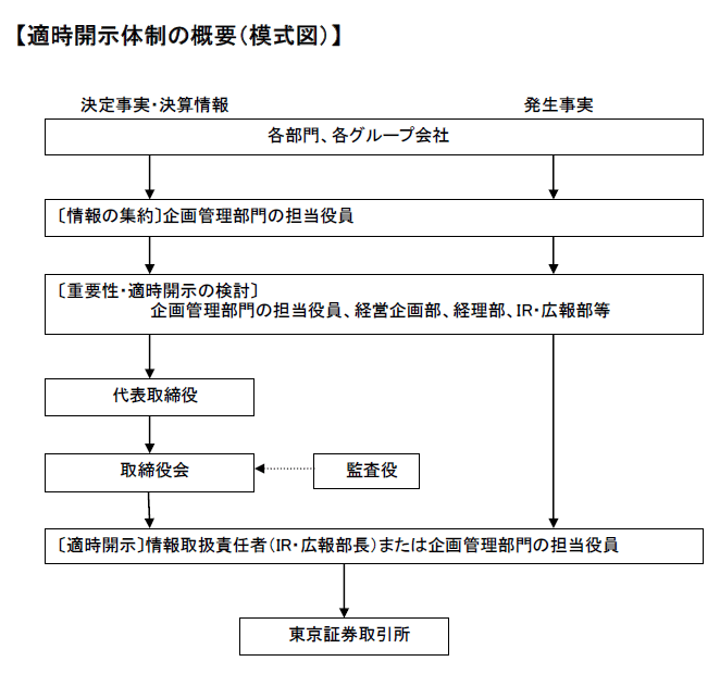 ディスクロージャーポリシー